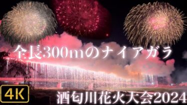 【4K】花火大会2024 圧巻！300mのナイアガラ！夏の風物詩 #花火 #hanabi