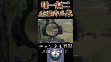 AMR-83極めすぎたかもwww【荒野行動】