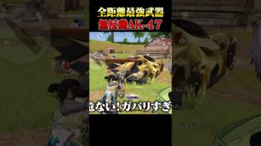 サブ武器短機関銃辞めませんか?【荒野行動】