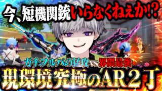 【究極】ぶっ壊れAR２丁持ちでフルパ破壊出来る時代になりました。【荒野行動】
