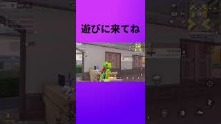 #『9月21日のなちこ』　#shorts　#ずんだもん【荒野行動】PC版『KNIVES OUT』「荒野の光」　#荒野行動