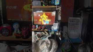 ライブ ハイライト