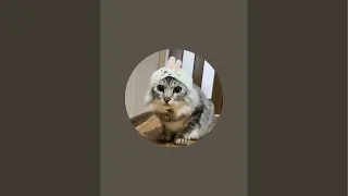 Switchゲームライブ参加型、荒野行動無課金勢、ゲーム全般、雑談有、https://www.youtube.com/channel/UC5l7TavVTlGE8CD78w7ZEoQ/joinパート3